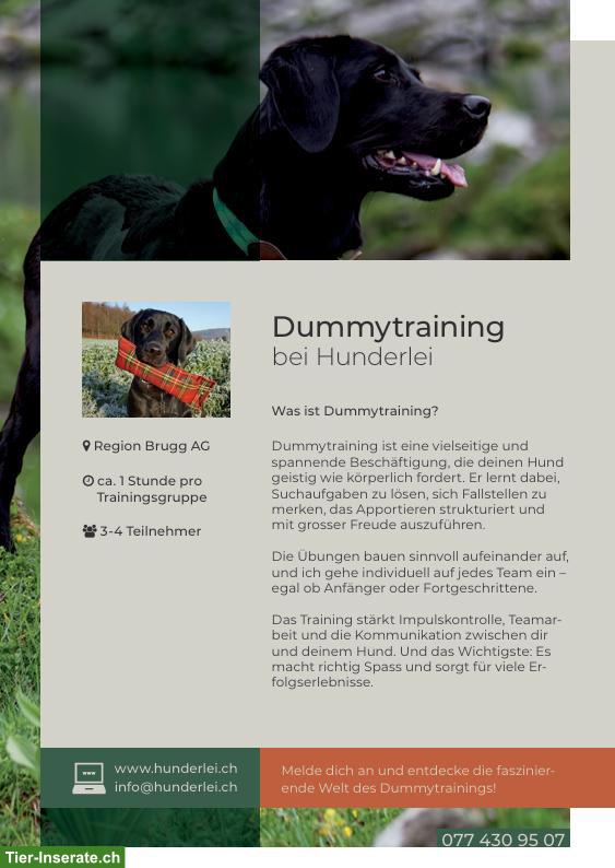 Bild 2: Dummytraining Region Brugg - Neues Angebot bei Hunderlei