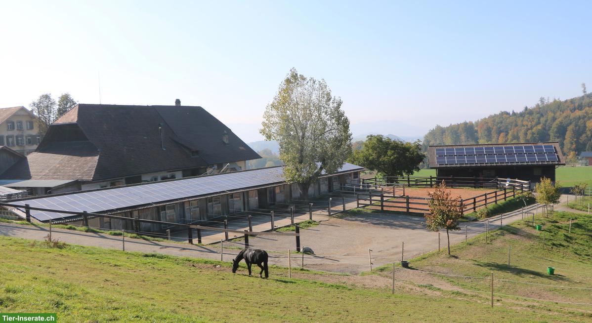 Bild 2: Grosse Auslaufboxe mit Infrastruktur und Ganzjahresweide ab März