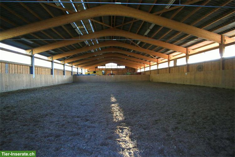 Bild 5: Grosse Auslaufboxe mit Infrastruktur und Ganzjahresweide ab März