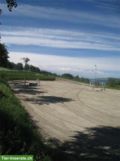 Bild 6: Grosse Auslaufboxe mit Infrastruktur und Ganzjahresweide ab März