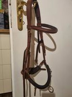 Caveçon zu verkaufen, Grösse Warmblut oder PRE