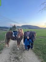 Reitbeteiligung auf Islandpferden, Zuzgen AG
