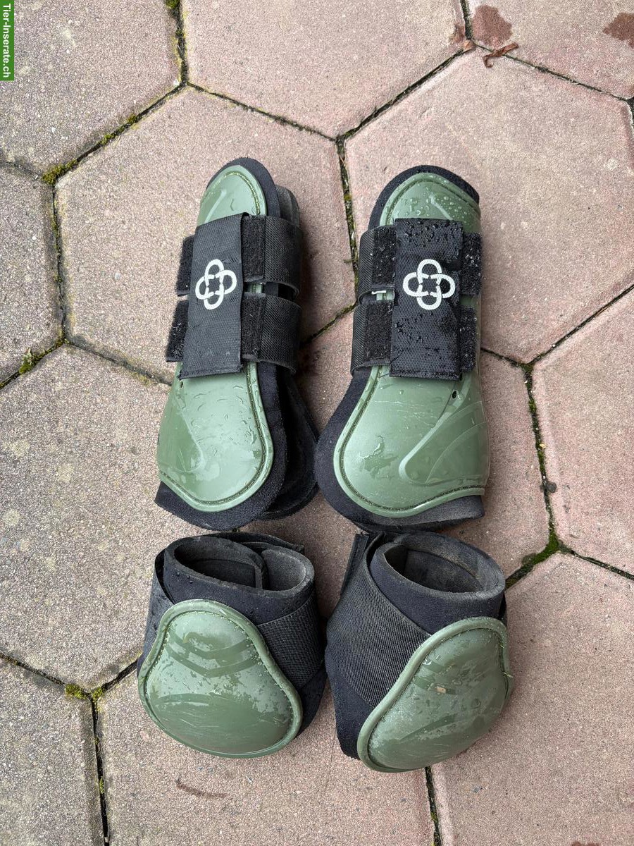 Pony-Gamaschen vorne & hinten zu verkaufen