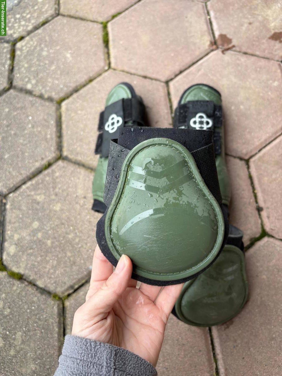 Bild 3: Pony-Gamaschen vorne & hinten zu verkaufen