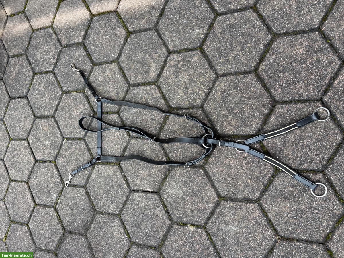Pferdezubehör: Vorderzeug, Knotenhalfter, Bandagen, Ohrengarn