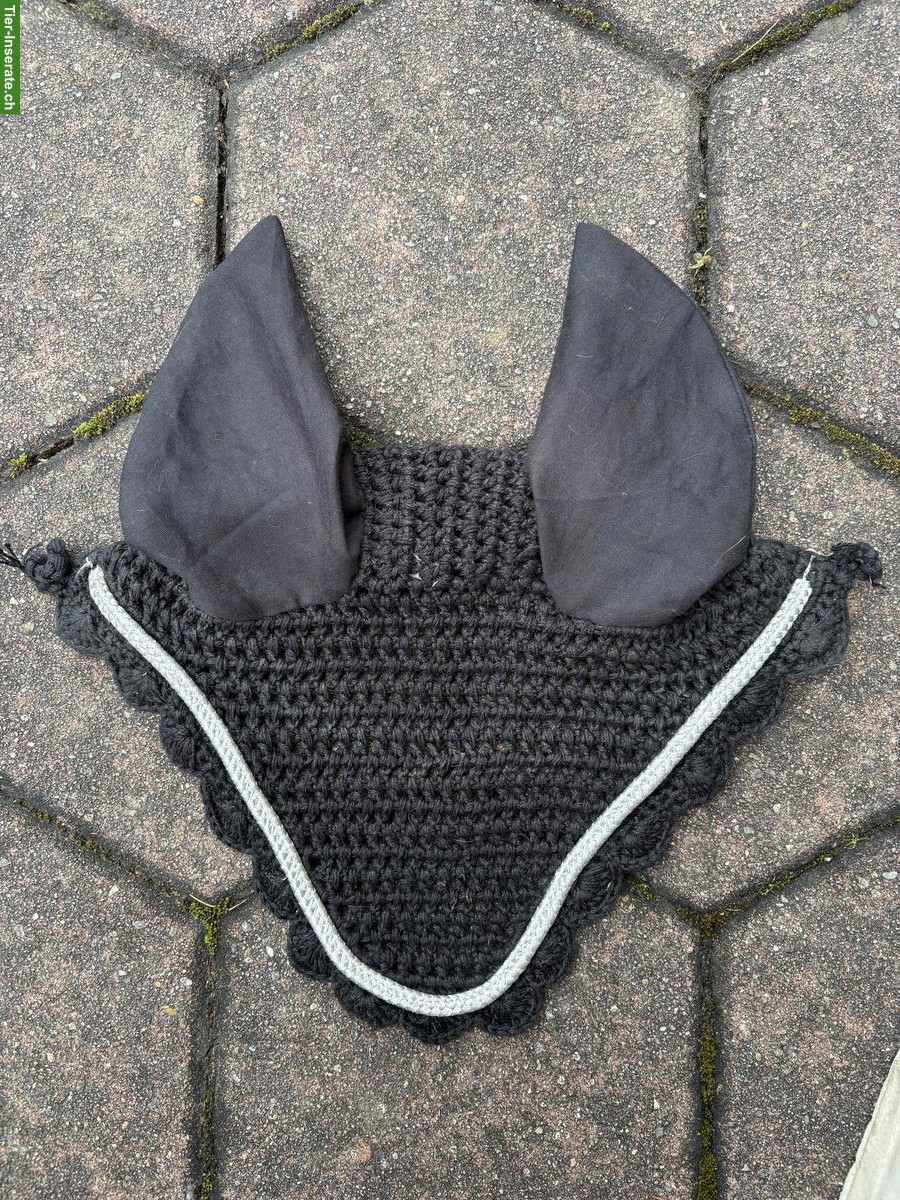 Bild 10: Pferdezubehör: Vorderzeug, Knotenhalfter, Bandagen, Ohrengarn