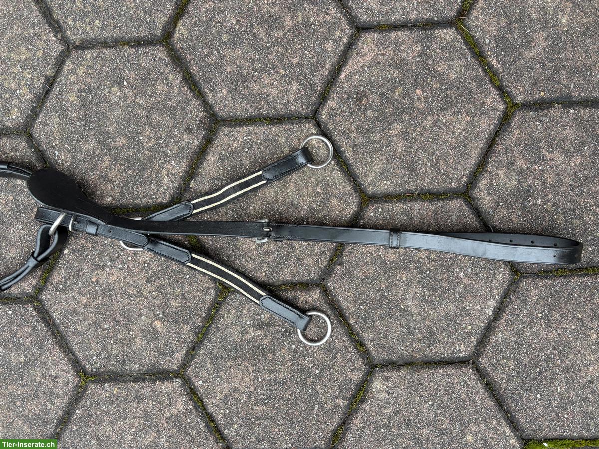 Bild 2: Pferdezubehör: Vorderzeug, Knotenhalfter, Bandagen, Ohrengarn