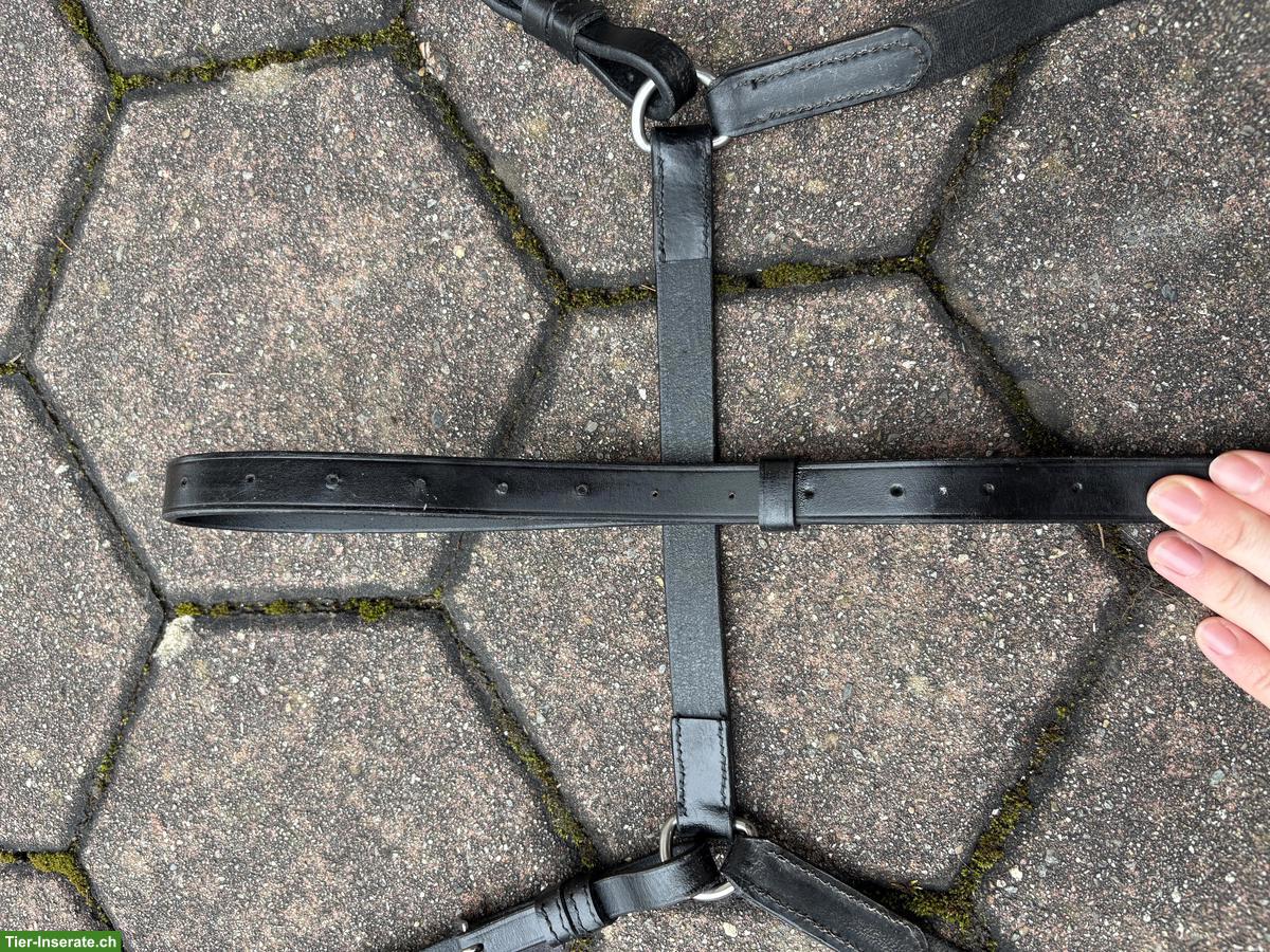 Bild 6: Pferdezubehör: Vorderzeug, Knotenhalfter, Bandagen, Ohrengarn