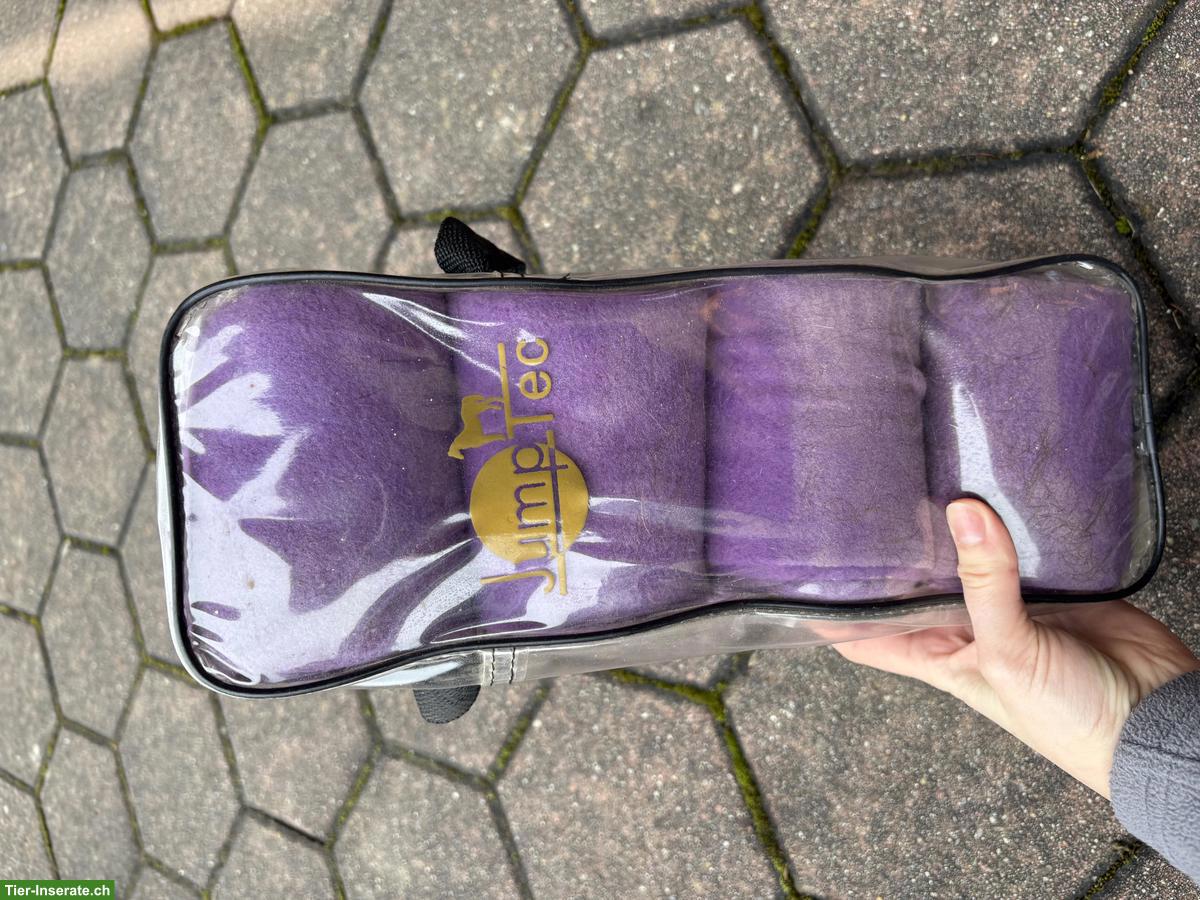 Bild 7: Pferdezubehör: Vorderzeug, Knotenhalfter, Bandagen, Ohrengarn