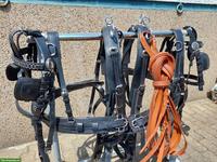 2-Spänner Shetty Geschirr zu verkaufen