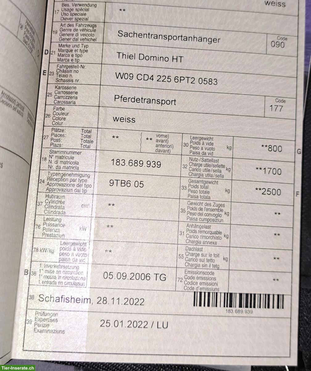 Bild 10: Thiel 2er Pferdeanhänger Domino HT zu verkaufen