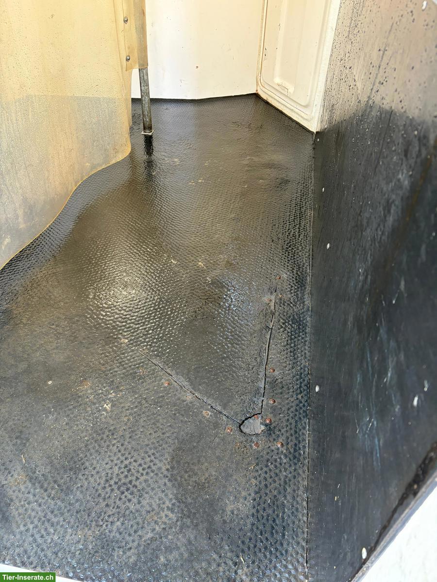 Bild 6: Thiel 2er Pferdeanhänger Domino HT zu verkaufen