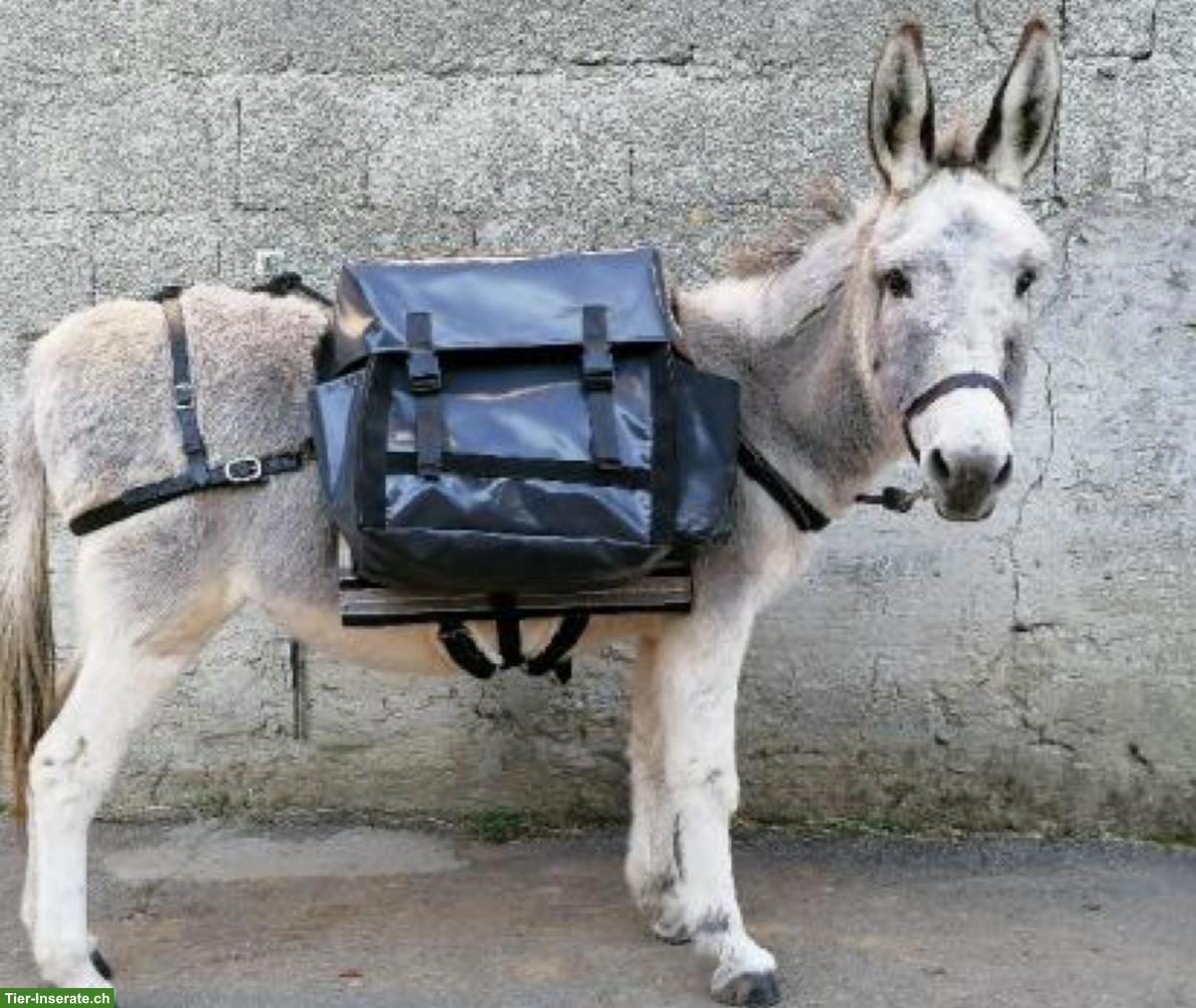 Gepäcktaschen gesucht für Eseltrekking