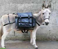 Gepäcktaschen gesucht für Eseltrekking