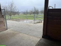 Offenstall für mehrere Pferde, Baldegg LU