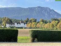 Suchen Pferdepflegerin 60-80%, Kanton Solothurn