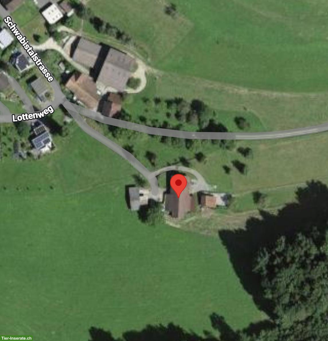 Teil-Selbstversorgerstall in Muhen AG zu vermieten