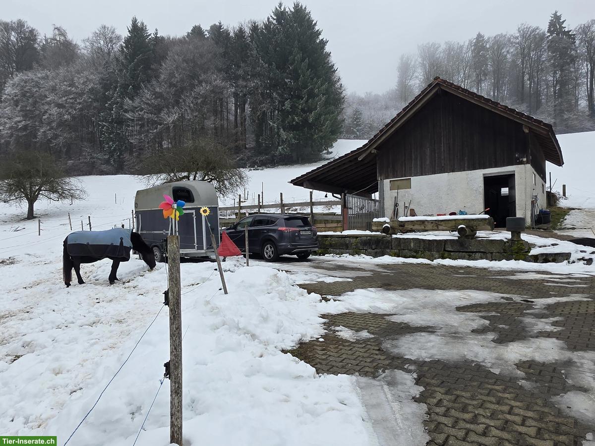 Bild 7: Teil-Selbstversorgerstall in Muhen AG zu vermieten
