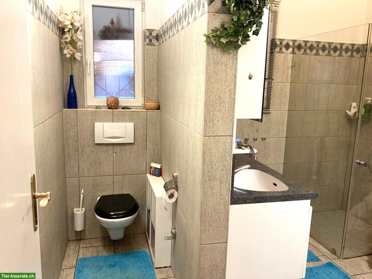 Bild 5: Loft-Wohnung, gross, naturnah, für Hunde- oder Pferdehalter