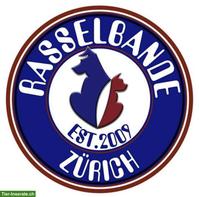 Hundeschule & Hundebetreuung für die Region Zürich