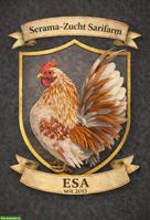 Bruteier von Serama Hühnchen zu verkaufen