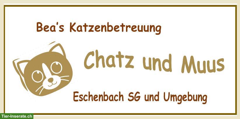 Biete Katzenbetreuung in Eschenbach SG und Umgebung