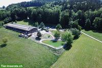 Job als Stallmitarbeiter in Pferdepensionsstall in Rossrüti SG