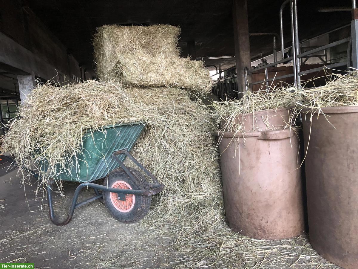 Bild 2: Heu-Quaderballen zu verkaufen, BIO zertifiziert