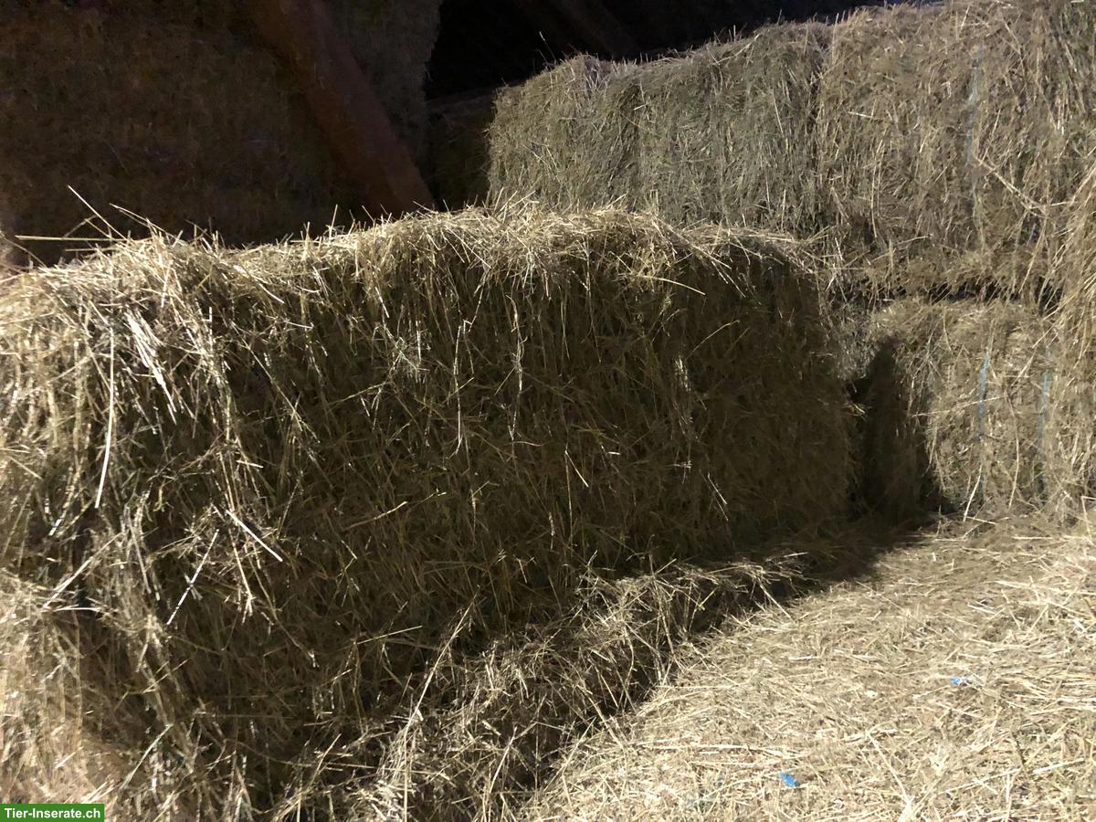 Bild 3: Heu-Quaderballen zu verkaufen, BIO zertifiziert