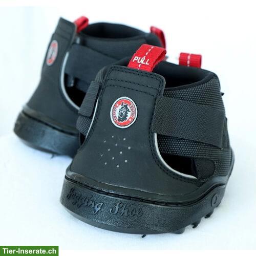 Suche Hufschuhe Equine Fusion Trekking, Gr. 8 Slim