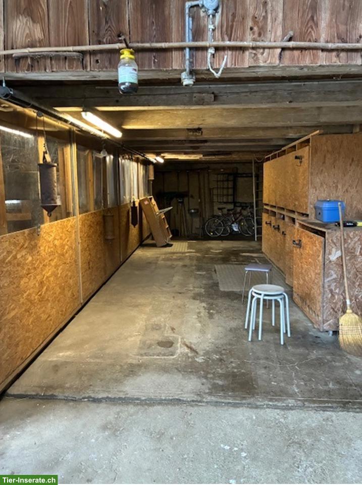 Bild 3: Liegenschaft für Pferde zu verkaufen mit bewilligtem Allwetterplatz