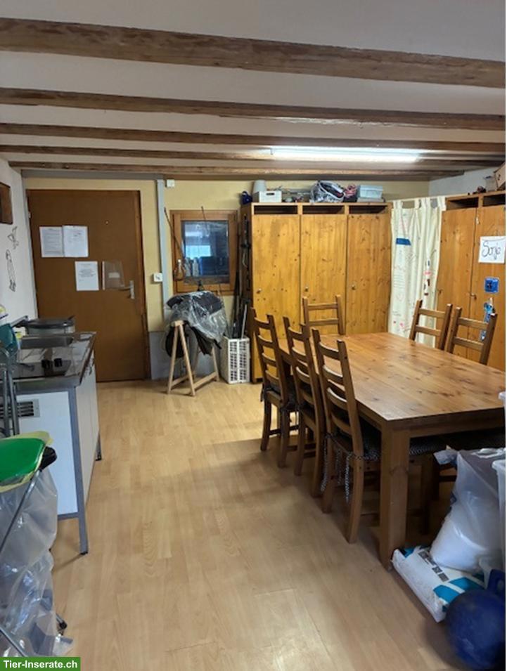 Bild 4: Liegenschaft für Pferde zu verkaufen mit bewilligtem Allwetterplatz