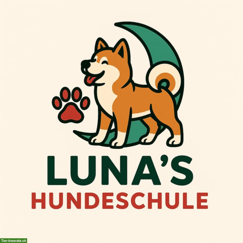 Biete Kostenloses Hundetraining an, Region Luterbach/Solothurn