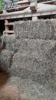 Kleinballen Heu (Ernte 2024) zu verkaufen