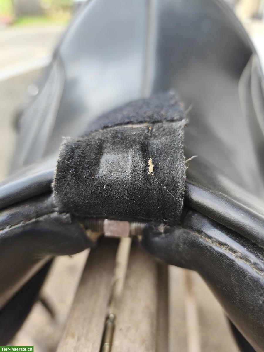 Bild 4: Signum Dressursattel Gr. S1 zu verkaufen