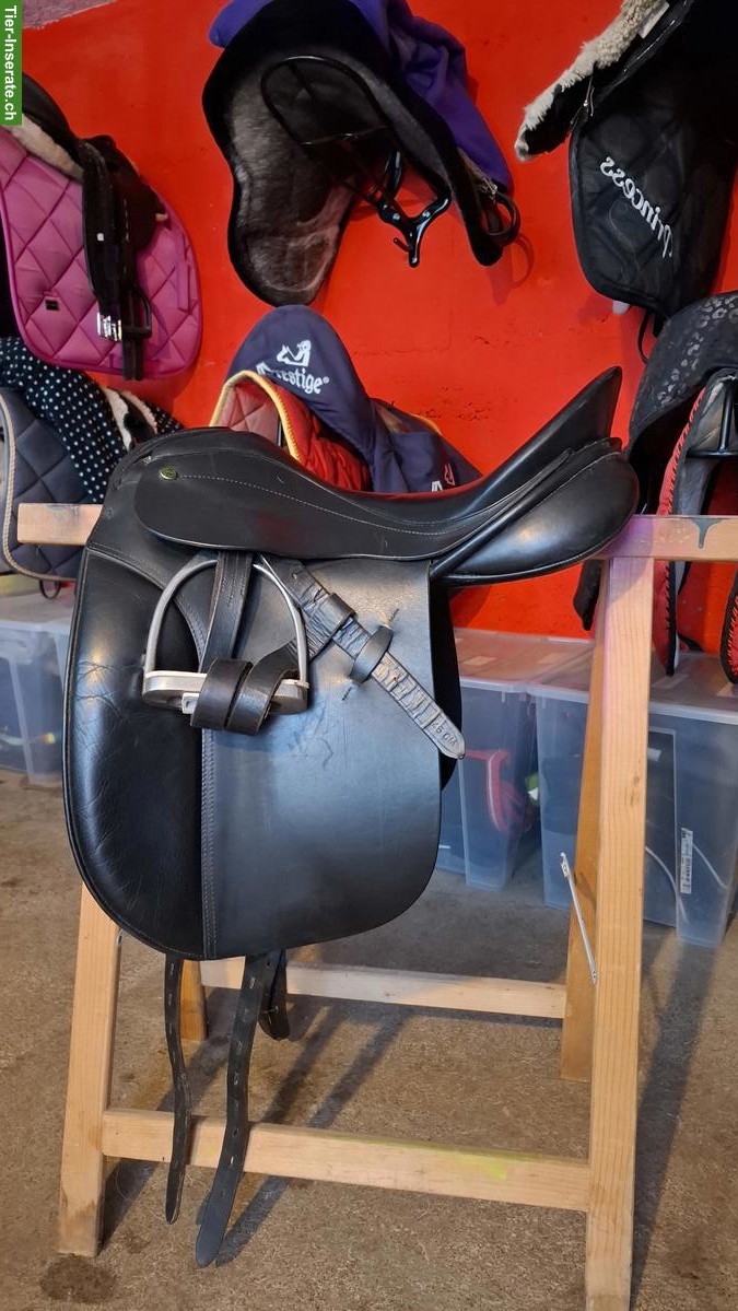 Dressursattel Shires 17,5 Zoll zu verkaufen