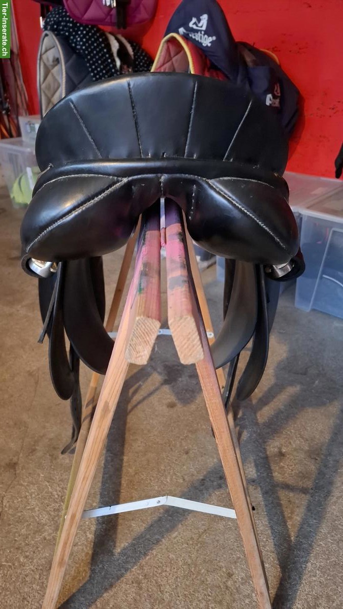 Bild 2: Dressursattel Shires 17,5 Zoll zu verkaufen