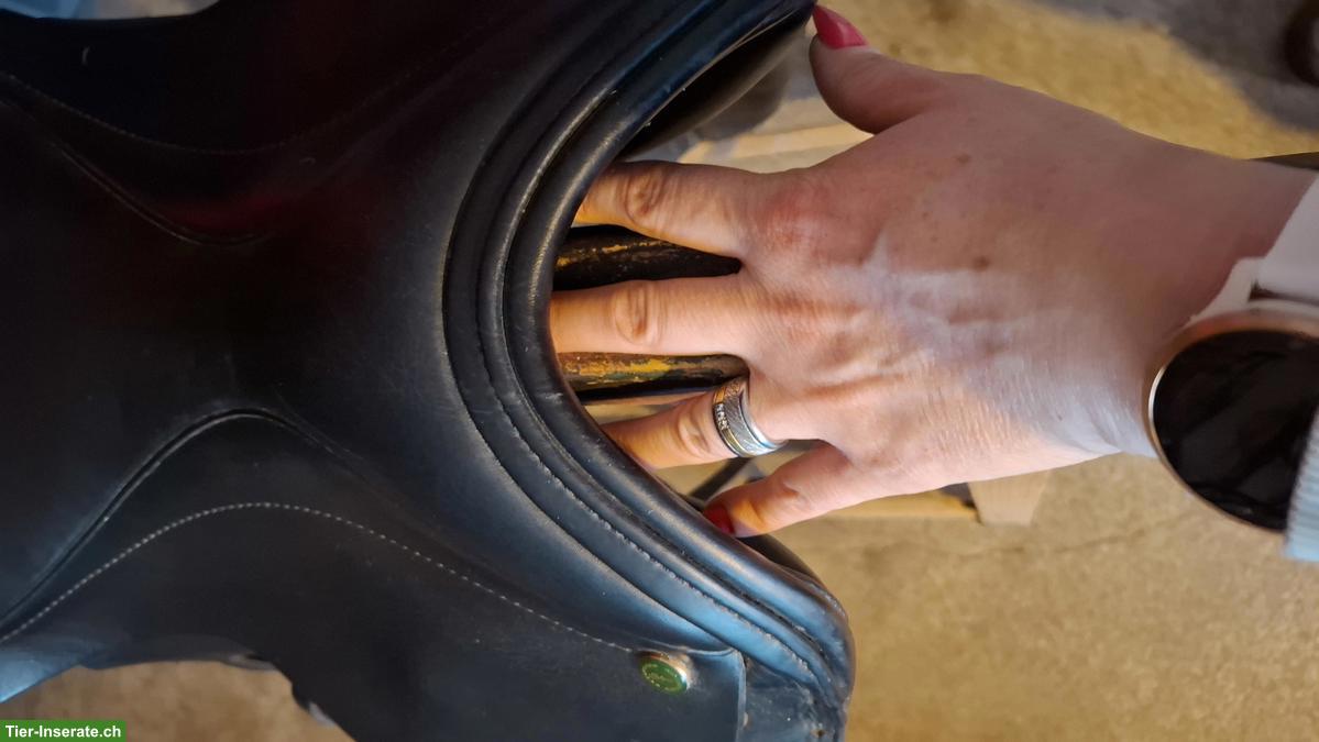 Bild 3: Dressursattel Shires 17,5 Zoll zu verkaufen