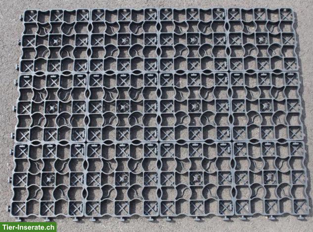 Ecoraster / Gitterplatten gesucht