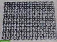 Ecoraster / Gitterplatten gesucht