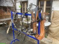 Bündner-Kummetgeschirr mit Zaum für Haflinger