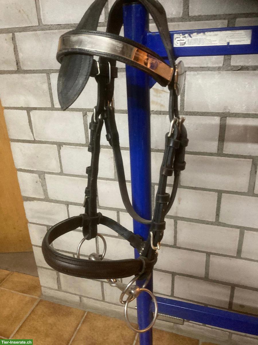 Bild 2: Bündner-Kummetgeschirr mit Zaum für Haflinger