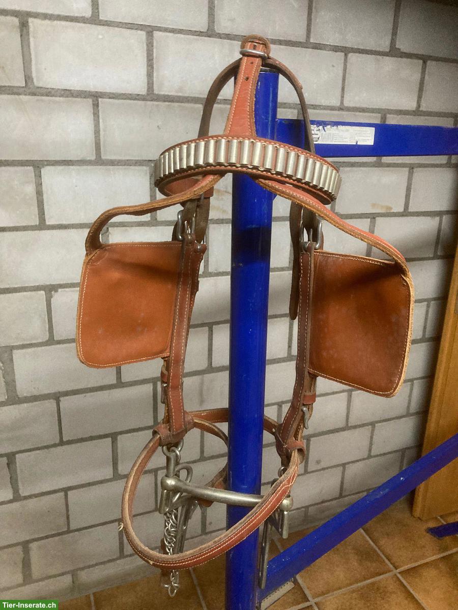 Bild 4: Bündner-Kummetgeschirr mit Zaum für Haflinger