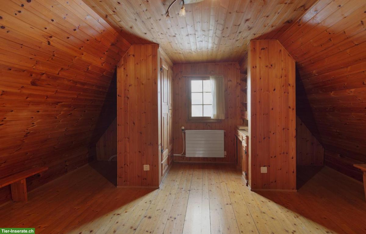 Bild 3: Fachwerkhaus mit Garten, ideal für Tierliebhaber, preiswert