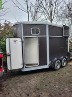 Pferdeanhänger Ifor Williams HB511 Diagonal