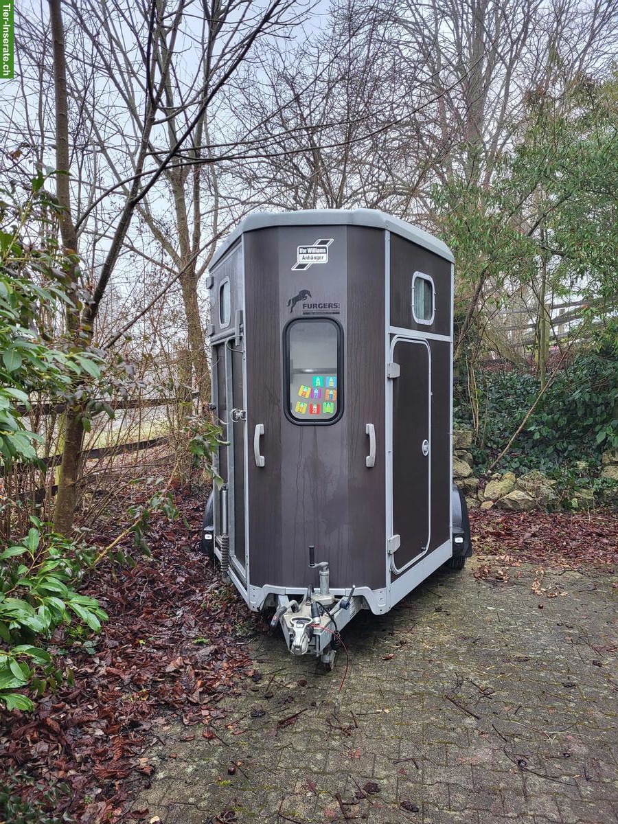 Bild 6: Pferdeanhänger Ifor Williams HB511 Diagonal