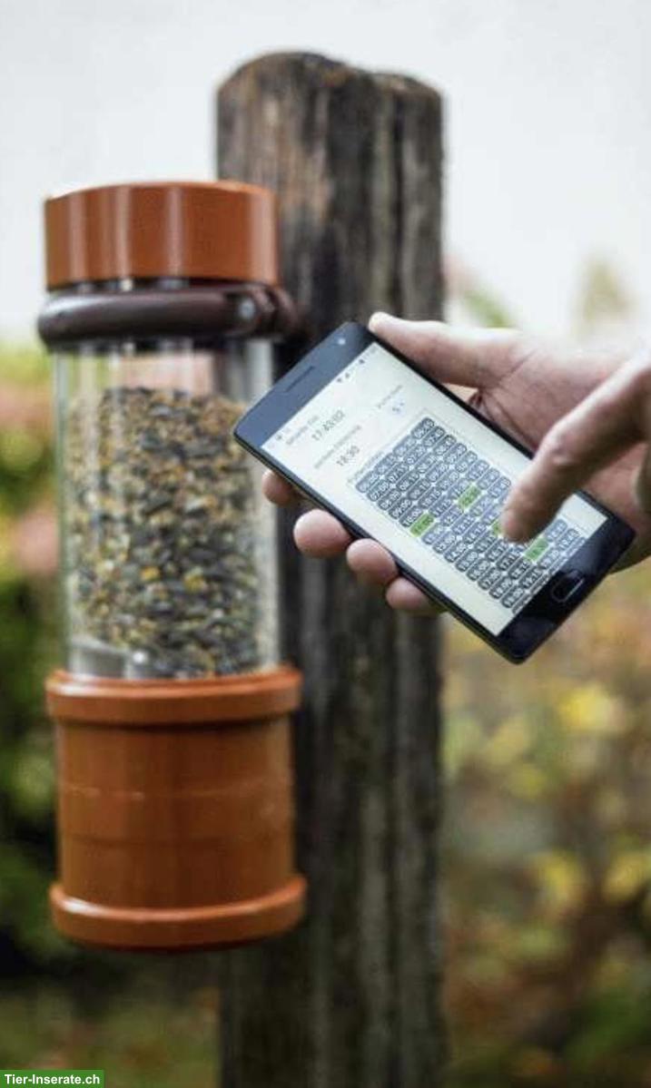 Bild 2: NEU: Automatischer Futterautomat für Hühner