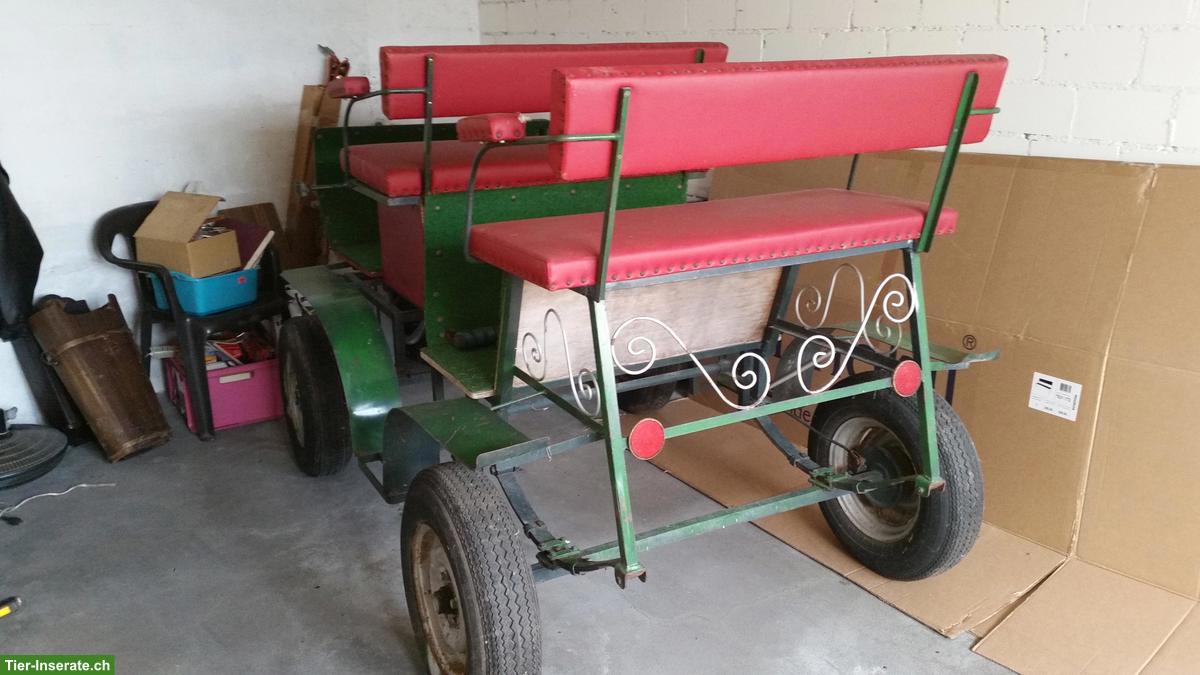 Bild 2: Ponykutsche, zweispänner, günstig abzugeben