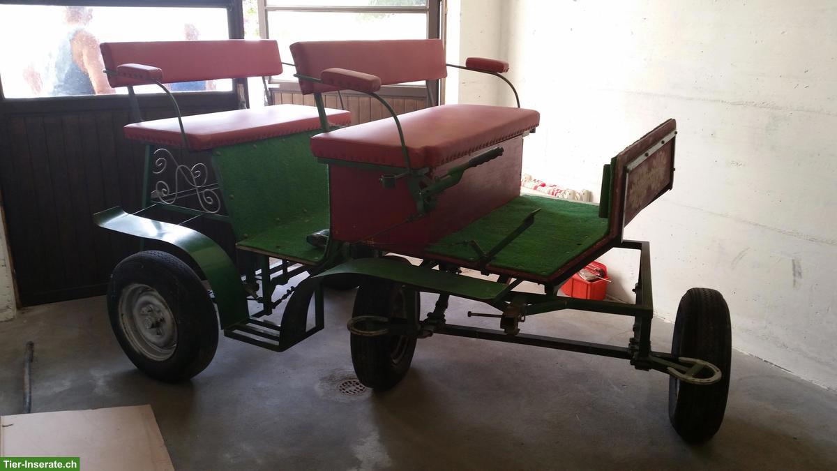 Bild 3: Ponykutsche, zweispänner, günstig abzugeben