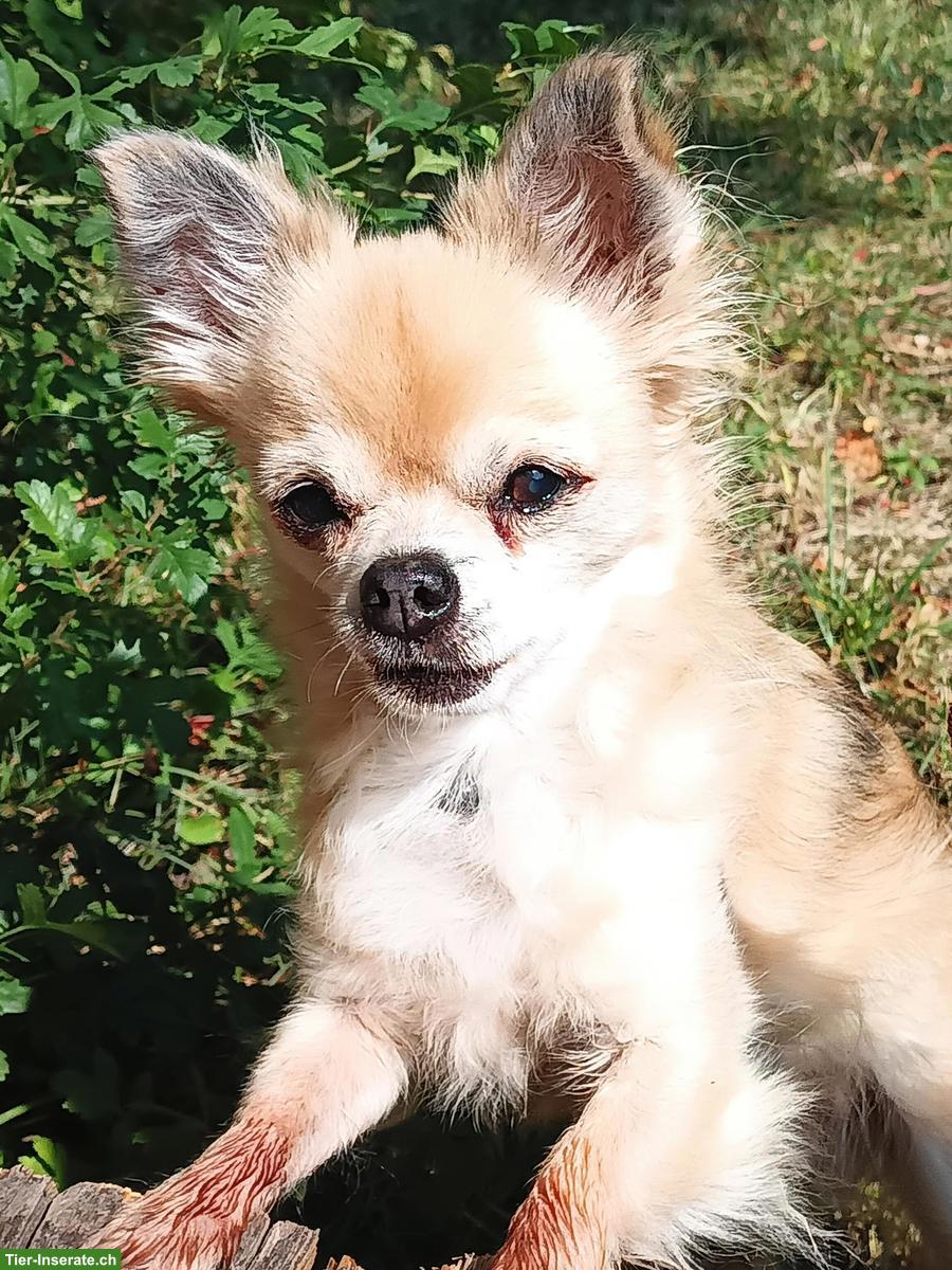 Wohnungssuche naturnah & ruhig in BL, AG, SO, LU, BE